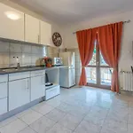 Opacak * سيلتسي