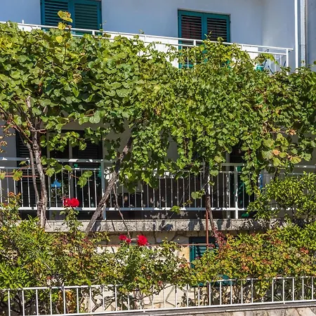 Opacak * セルツェ